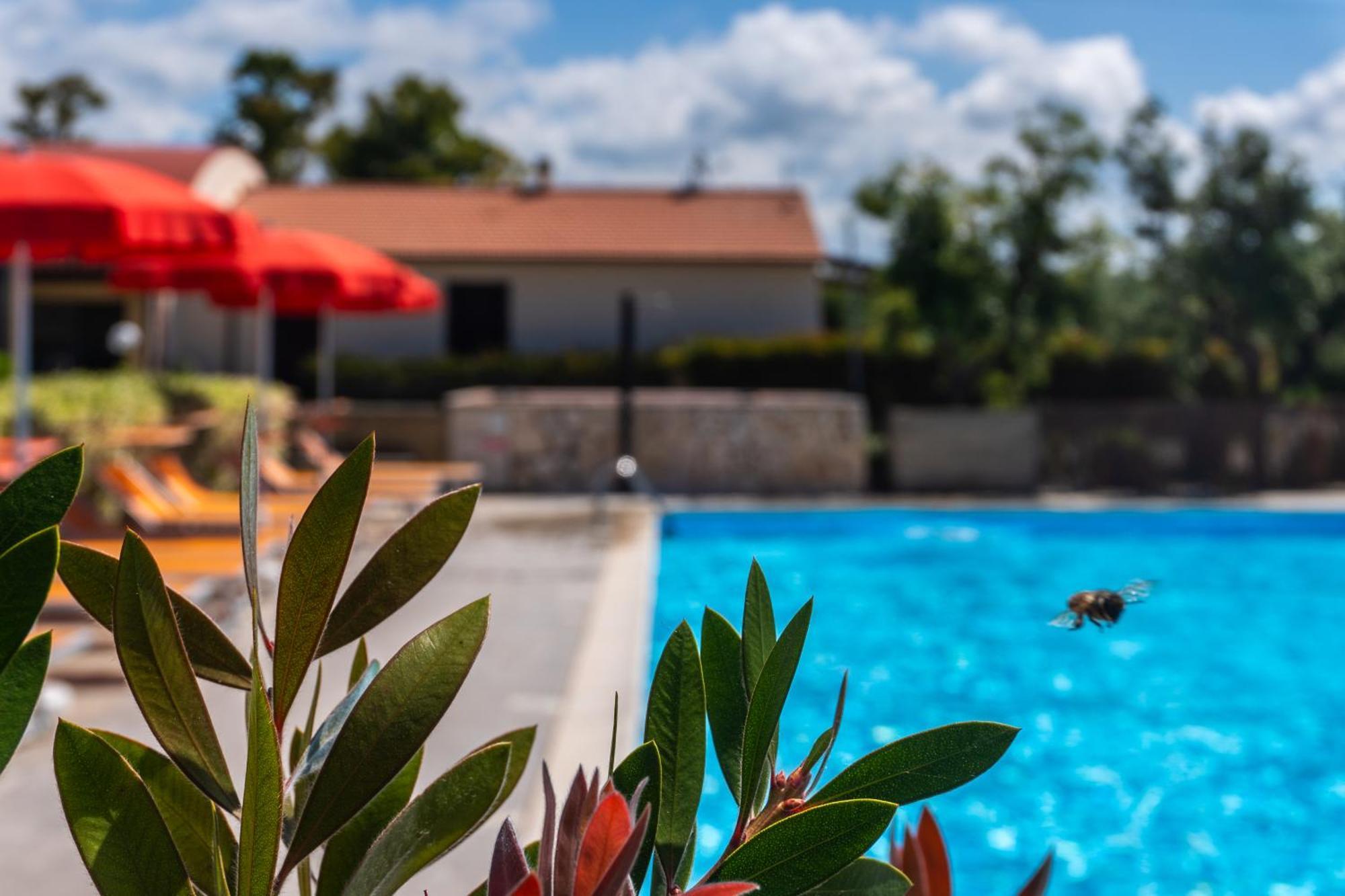 Agriturismo Il Tripesce 베이다 외부 사진