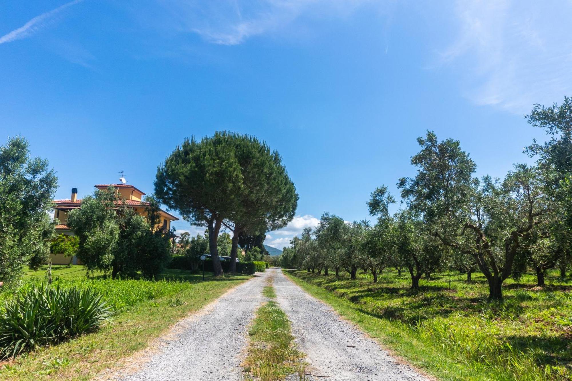 Agriturismo Il Tripesce 베이다 외부 사진