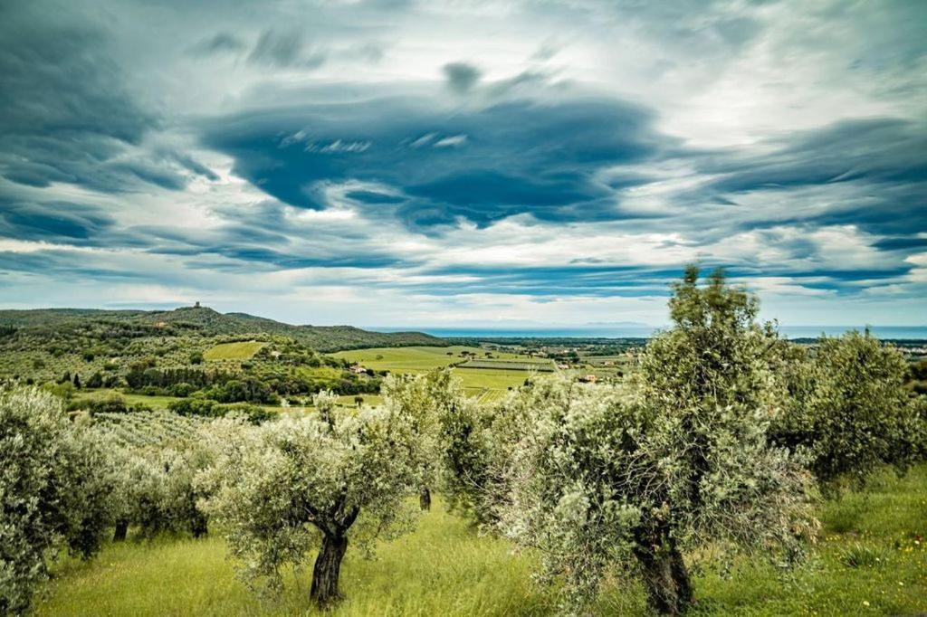 Agriturismo Il Tripesce 베이다 외부 사진