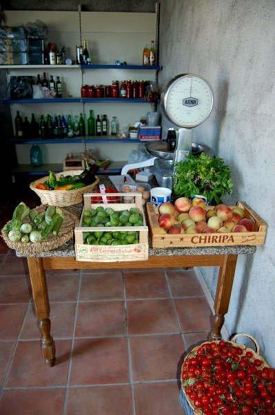 Agriturismo Il Tripesce 베이다 외부 사진