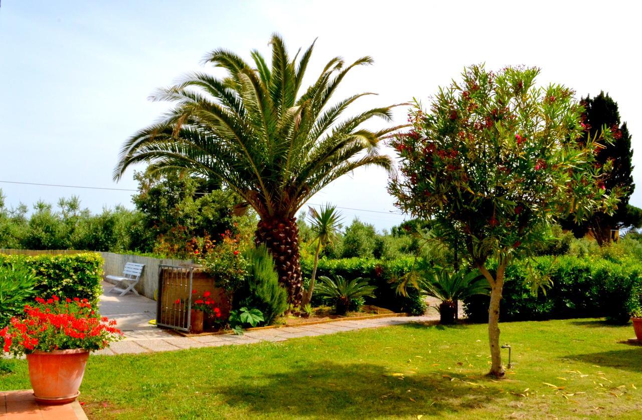 Agriturismo Il Tripesce 베이다 외부 사진